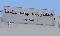 111n05.jpg